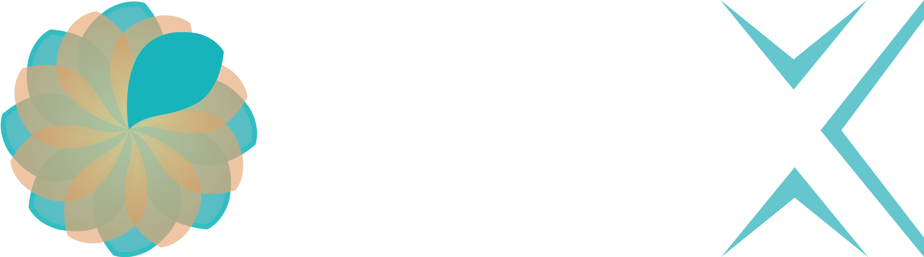 LQDX