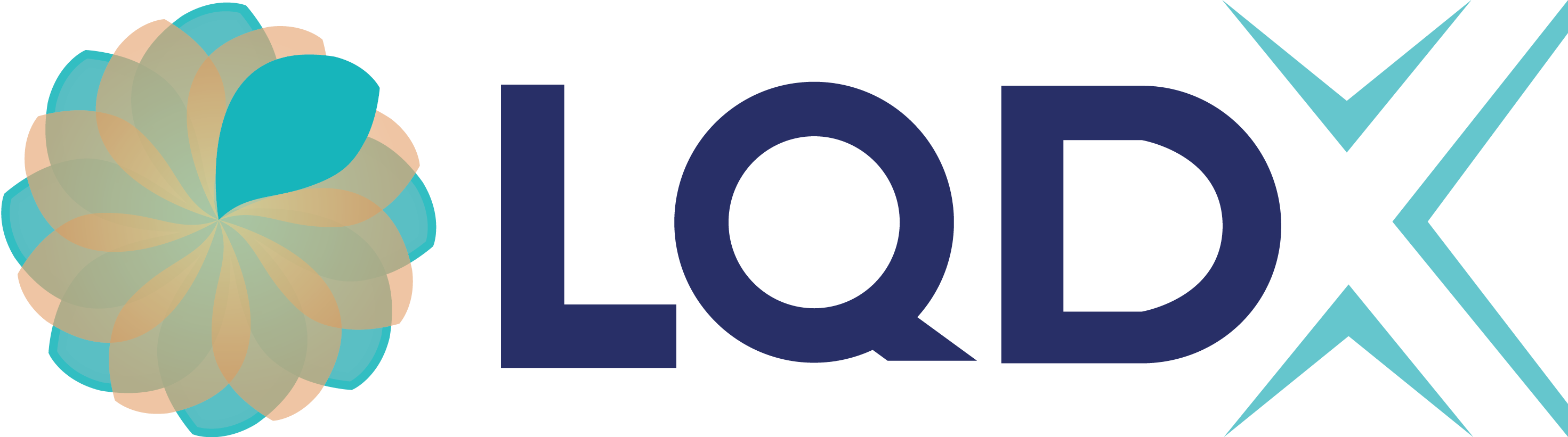 LQDX Logo